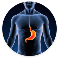 Cirurgia De Refluxo Gastroesof Gico Dr Luiz Fernando Ioris